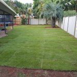 Landscaping — Tree Service in Moranbah, QLD